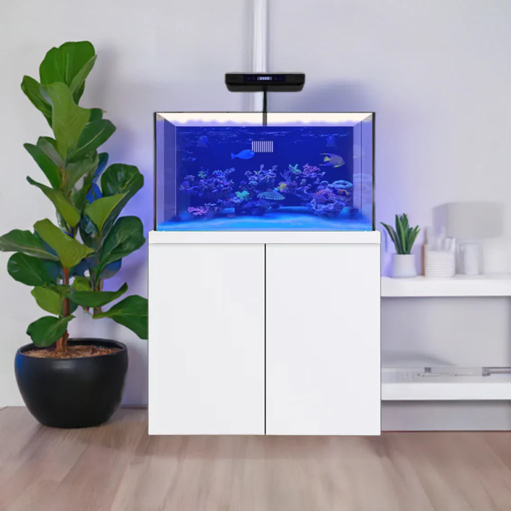 100 Gallon Coral Reef Aquarium Fish Tank Complete Set including one Coral light & one Protein Skimmer